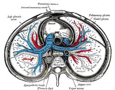 Бір кесе кофемен порно мастармен айналысу